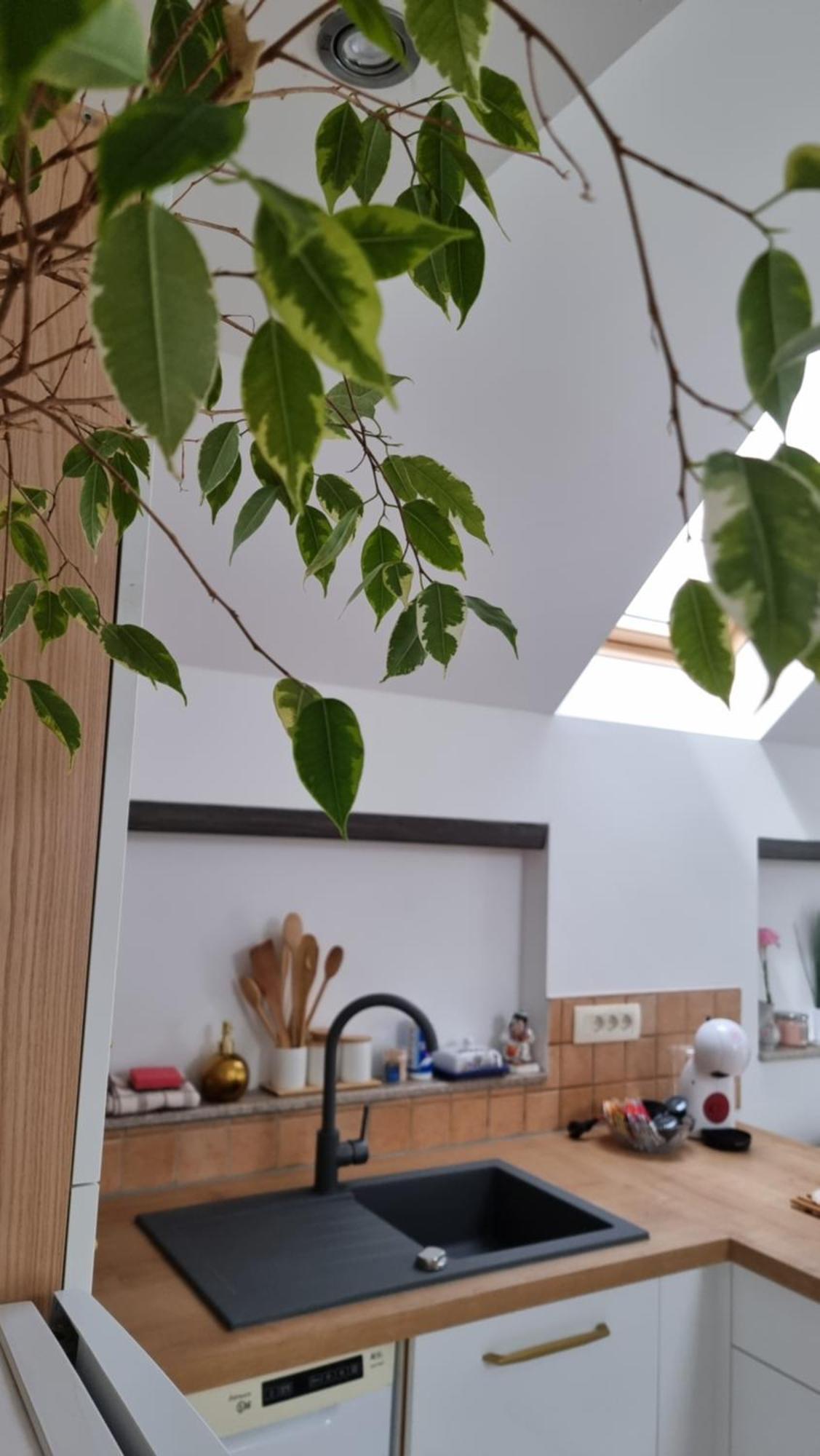 Apartma Katarina Bled Extérieur photo